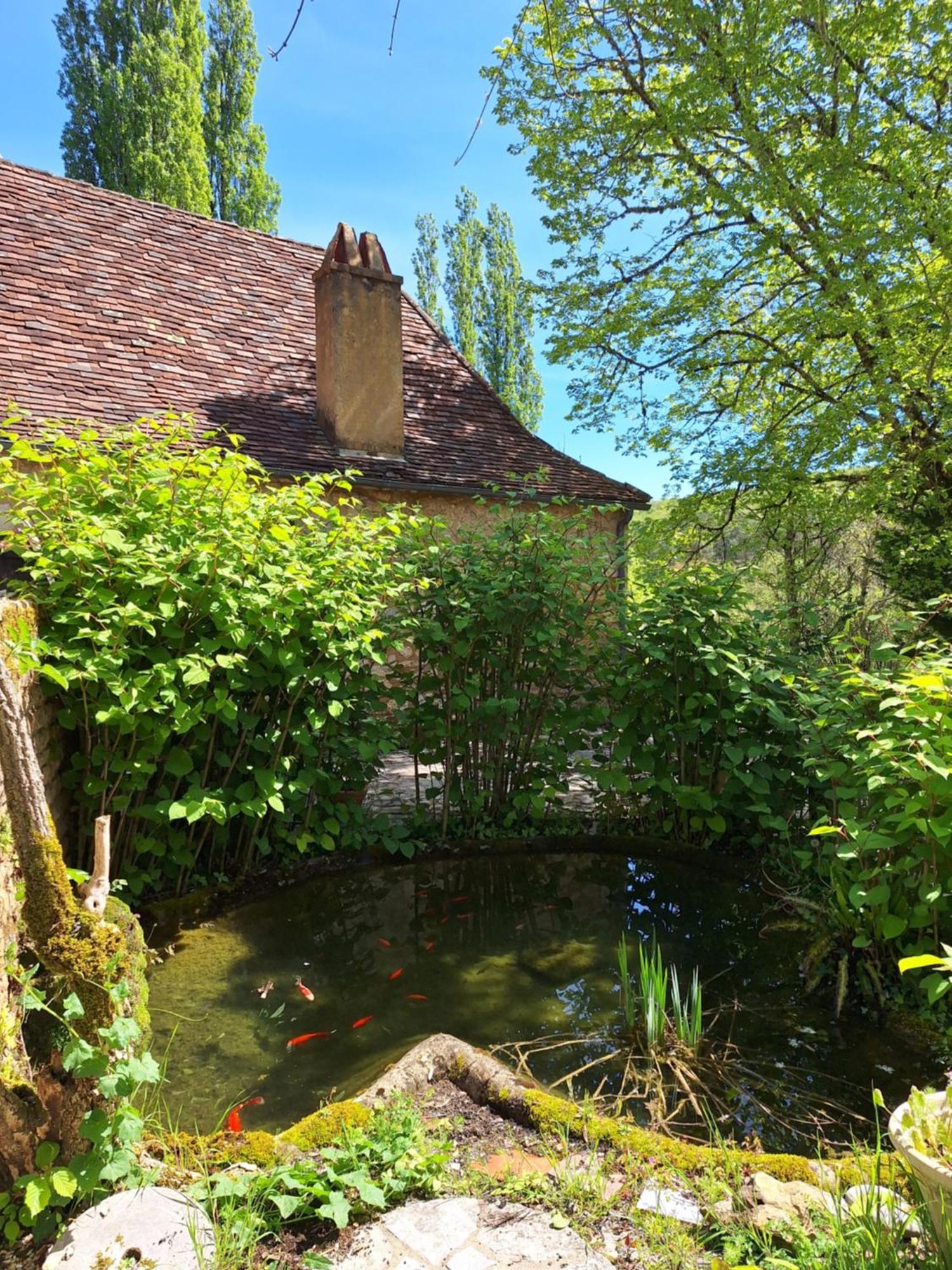 La Ferme Du Soleillal - Adult Only Pansiyon Campagne  Dış mekan fotoğraf